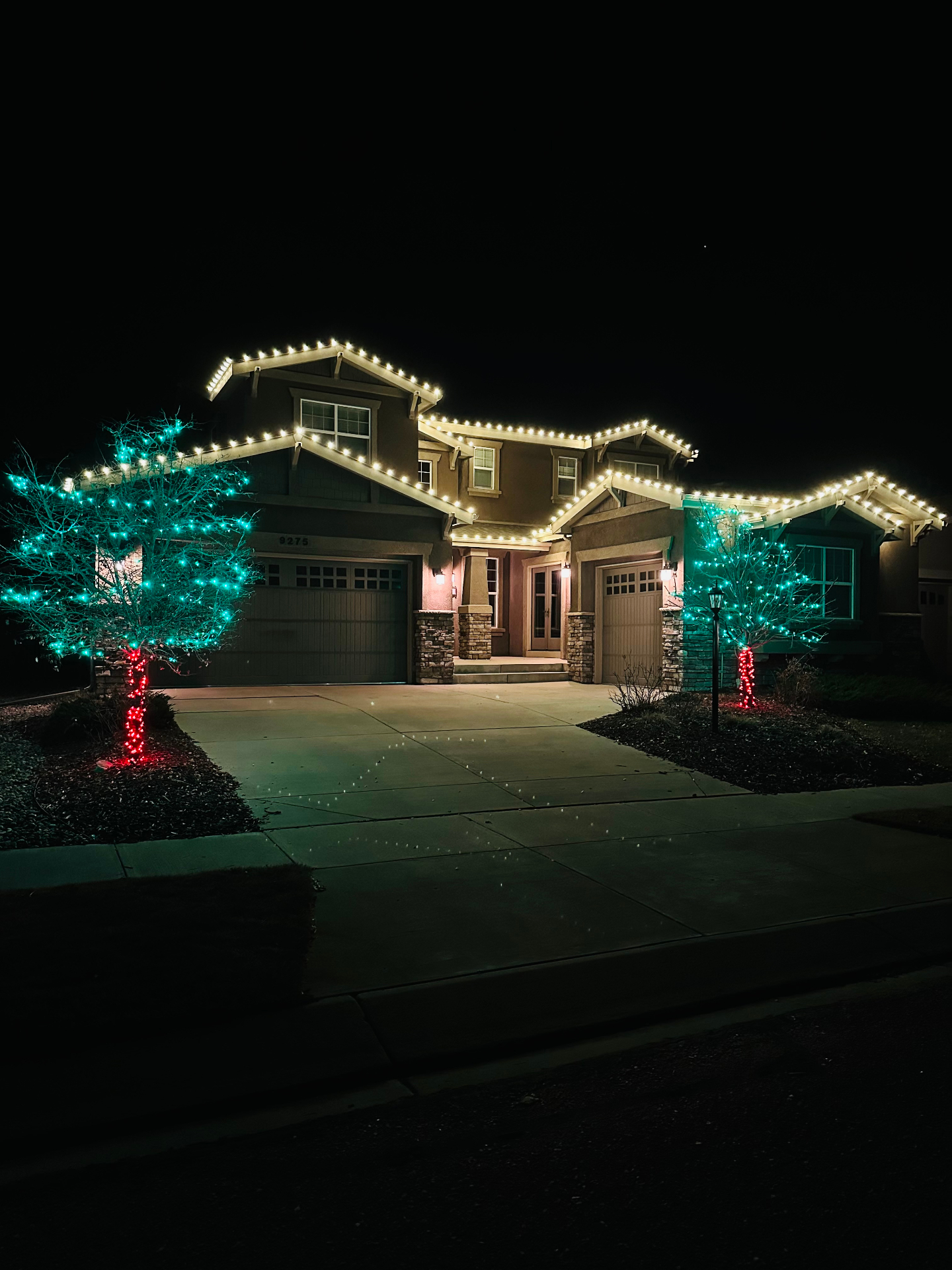 Warm white roofline lighting with red wrapped tree trunks